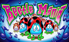 Beetle Mania